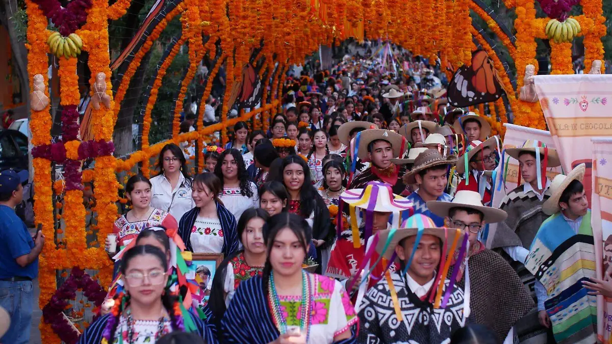 WhatsApp Image 2024-10-30 at 18.46.57