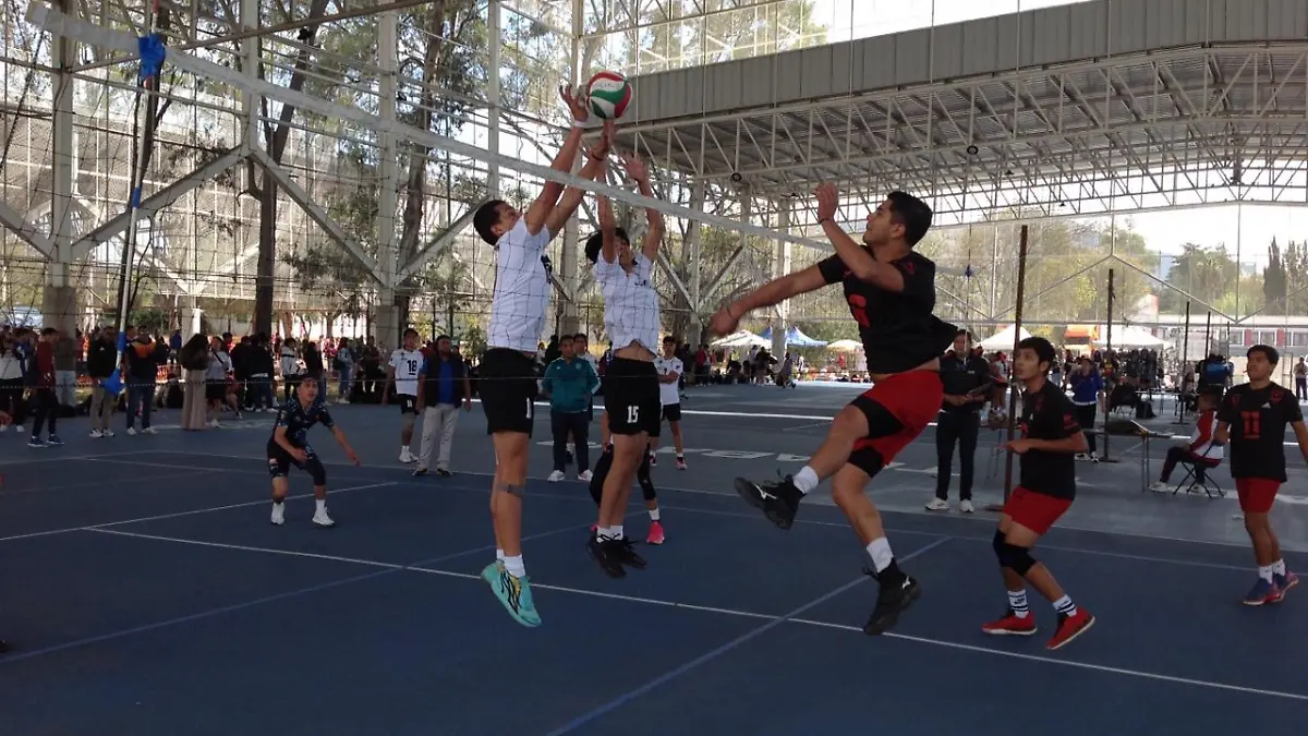 selectivo estatal de voleibol 