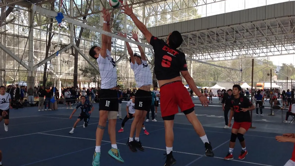 selectivo estatal de voleibol