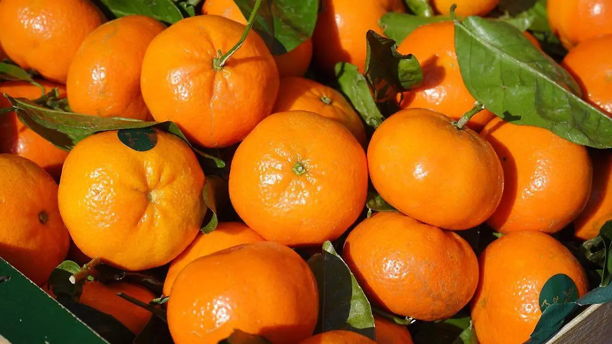 clementines-318210_1280