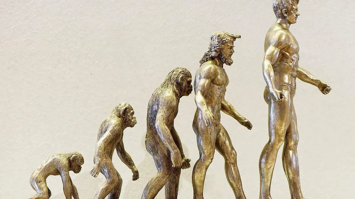 Figuras representando la evolución del hombre
