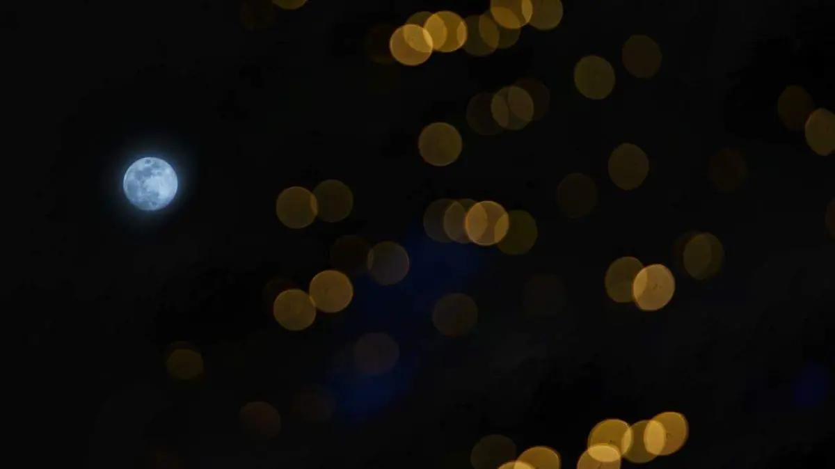 WhatsApp Image 2023-12-26 at 11.15.52 (1)