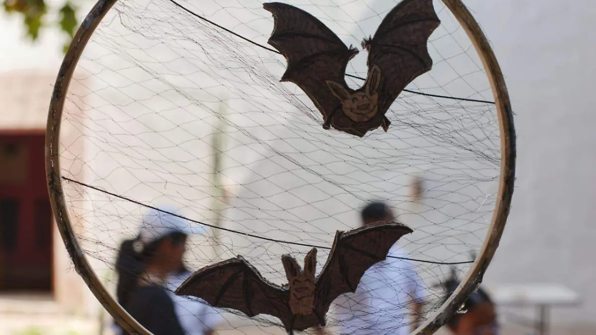 colonias y nidos de murciélagos