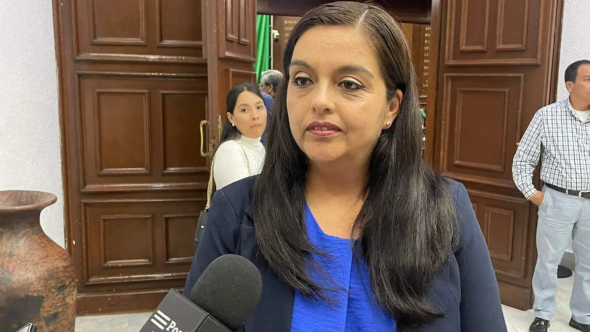 Teresita Herrera Maldonado, coordinadora del PAN