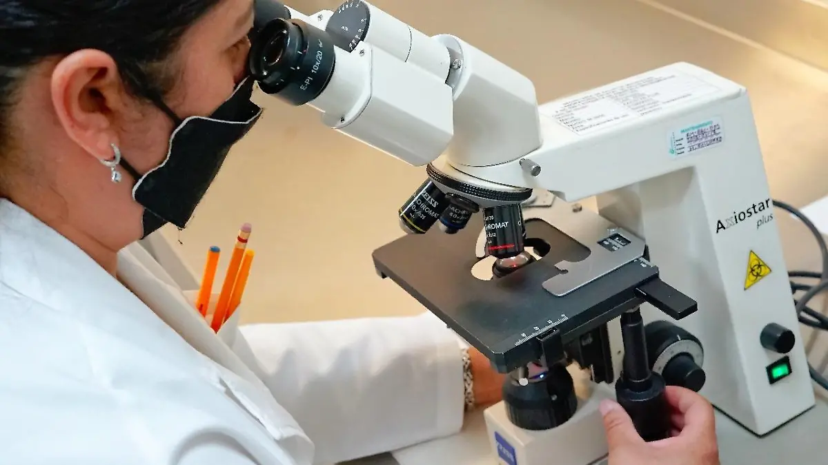 Pruebas de laboratorio 