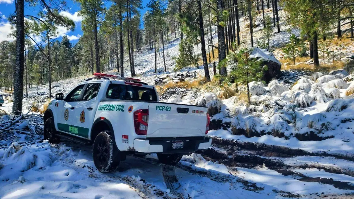 PC en cerro de Tancítaro