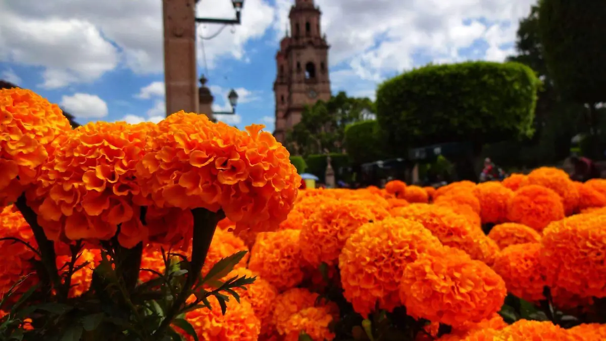 Cempasuchil
