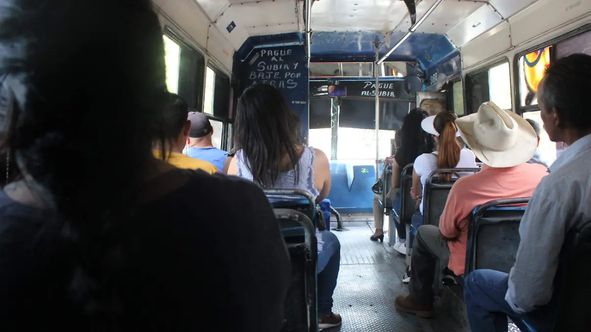 transporte público_MLM (2)
