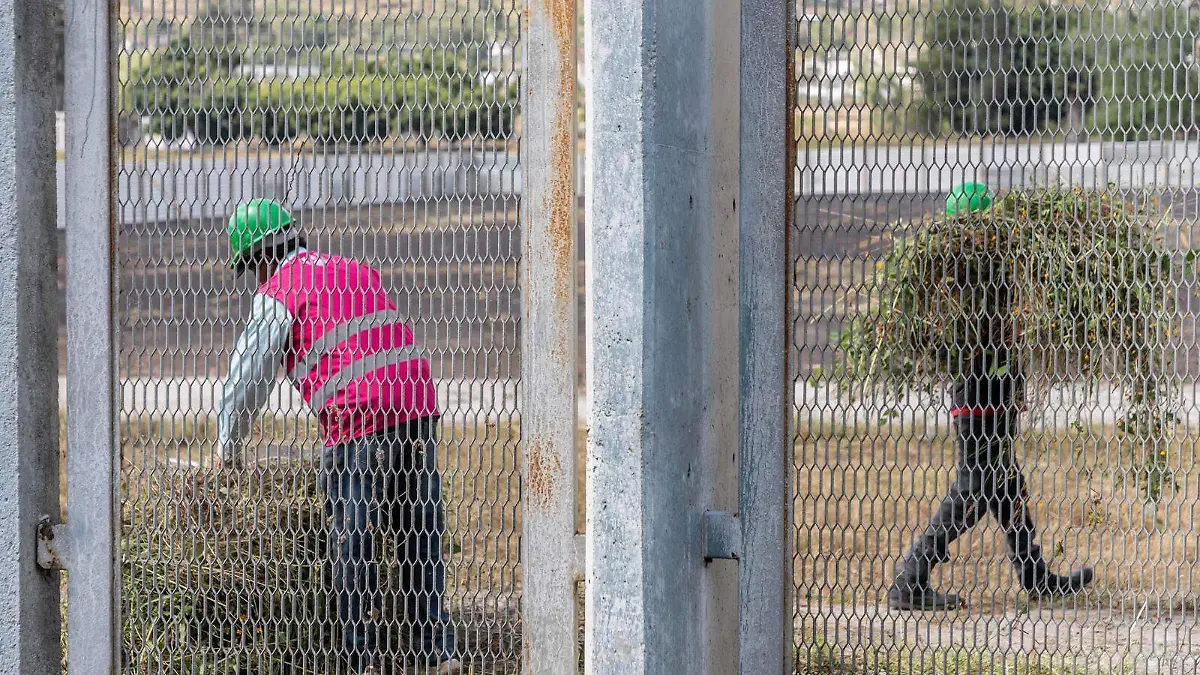 WhatsApp Image 2024-11-04 at 14.57.53