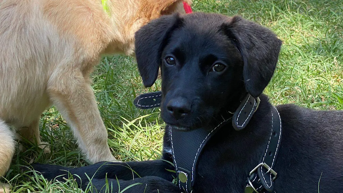 WhatsApp Image 2022-10-15 at 5.26.38 PM