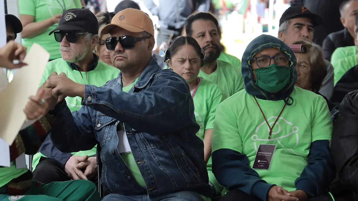 reconocimiento discapacidad