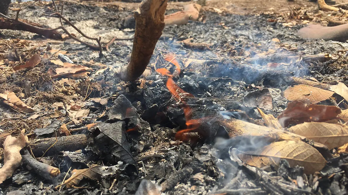 Incendios Forestales