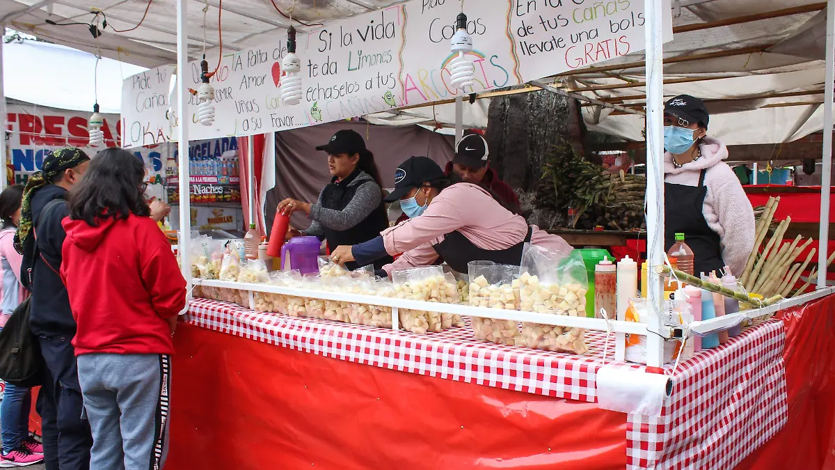 Cañas Fiestas Guadalupanas