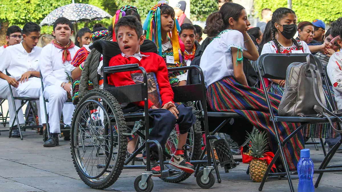 día de la discapacidad