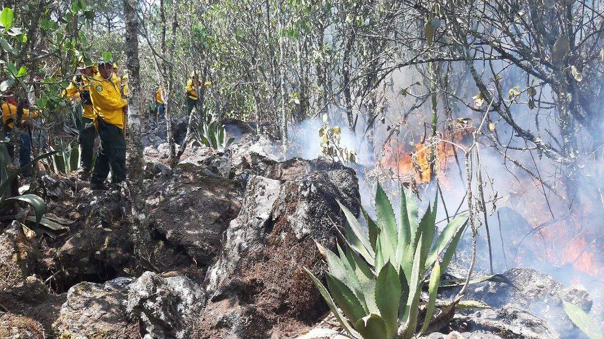 INCENDIOS