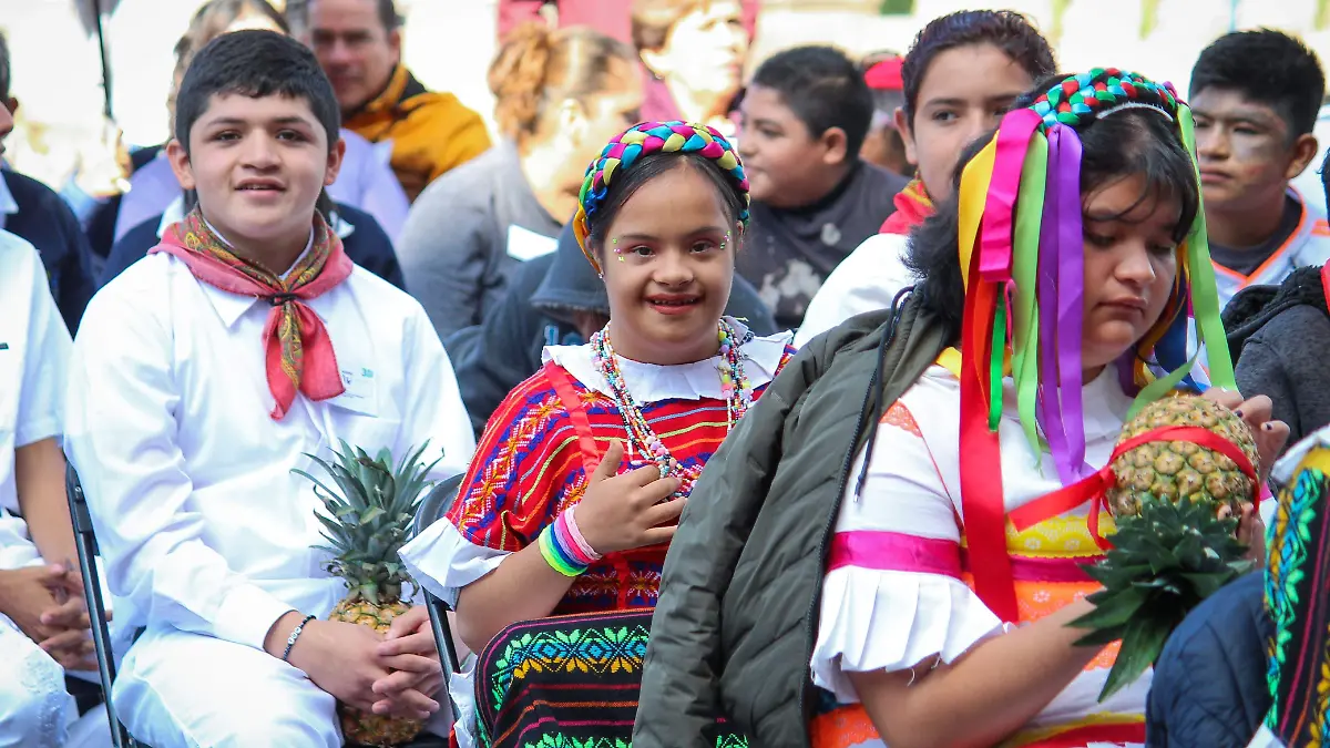 día de la discapacidad