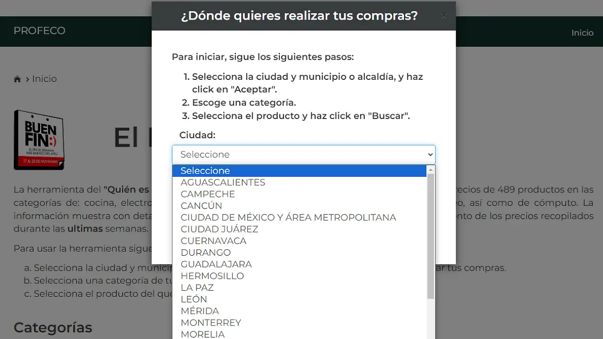 Micrositio para El Buen Fin