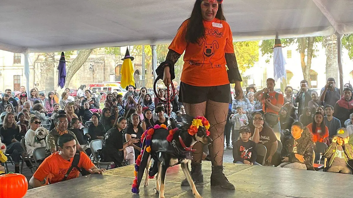 pasarela catrina lupm