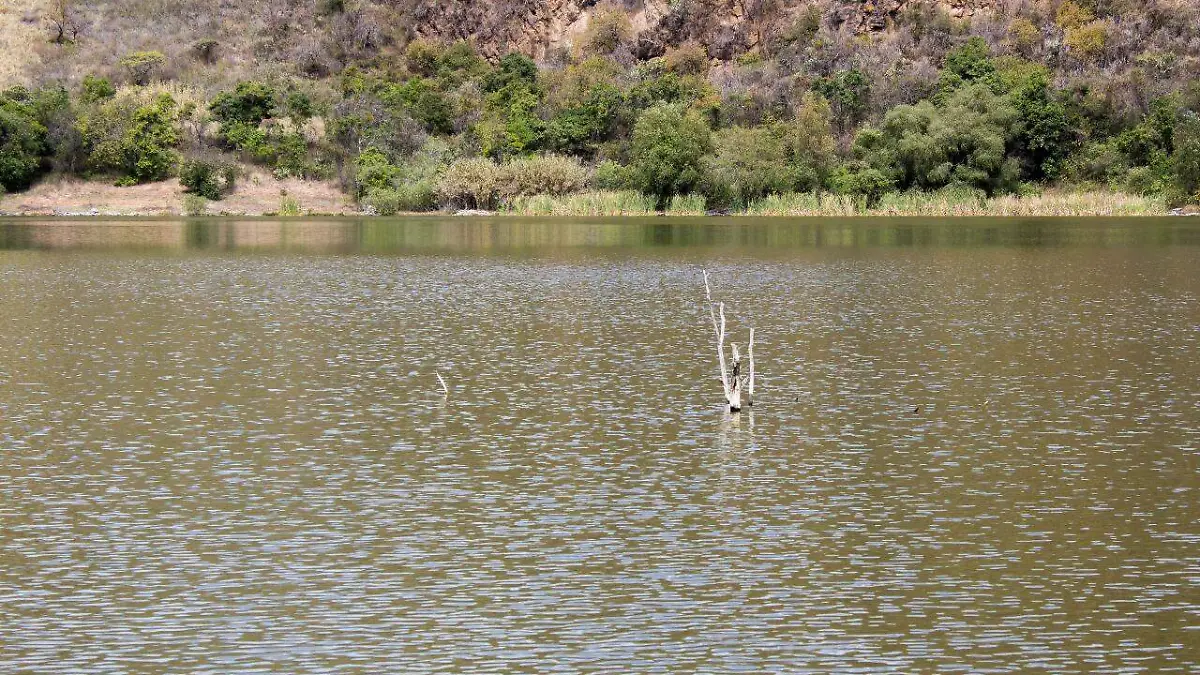 La alberca Teremendo de Los Reyes