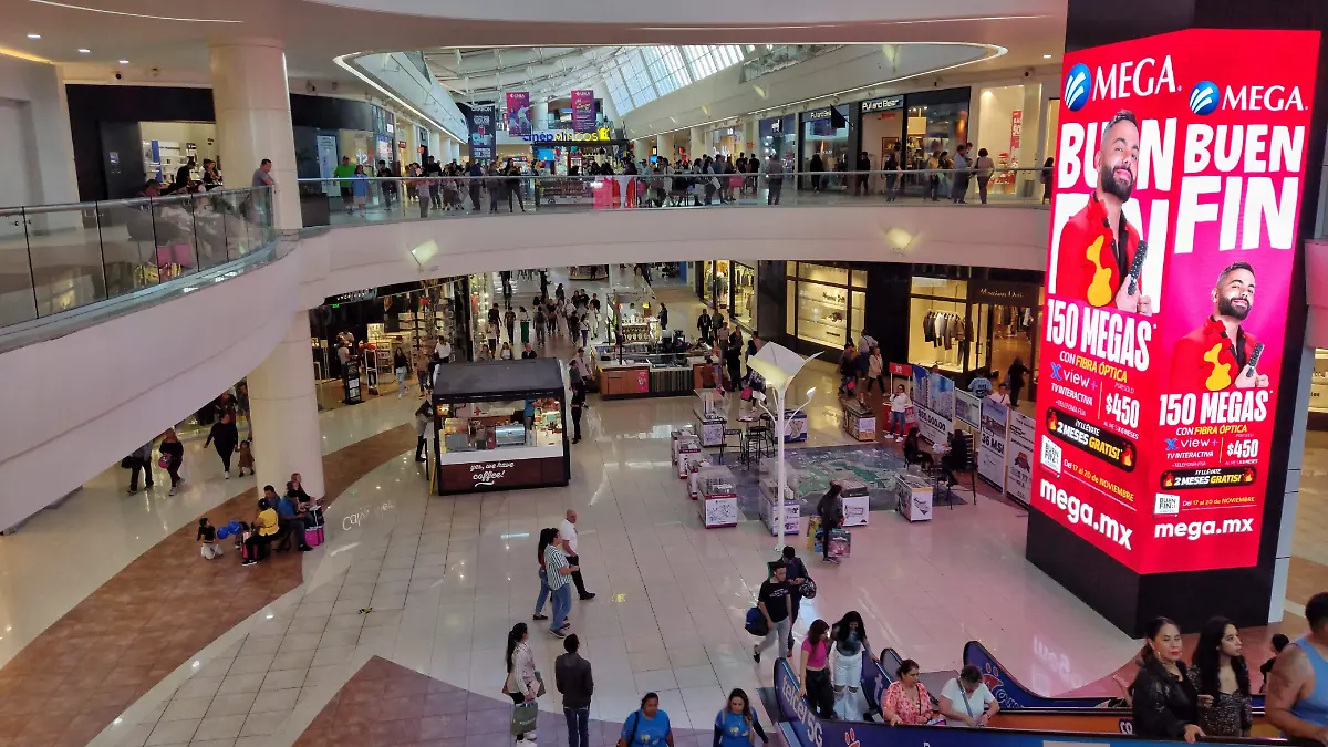 WhatsApp Image 2023-11-18 at 14.20.30