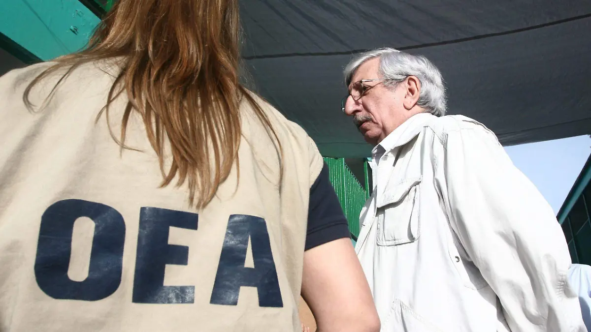 observador electoral