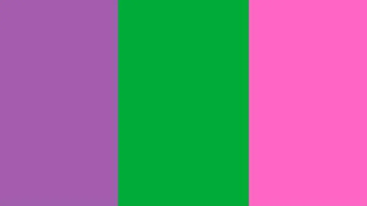 bandera feminista