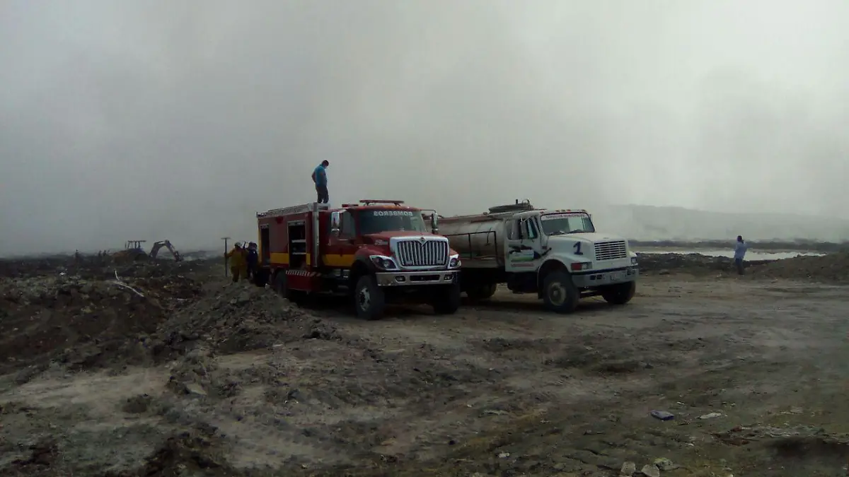 WhatsApp Image 2017-01-12 at 1.55