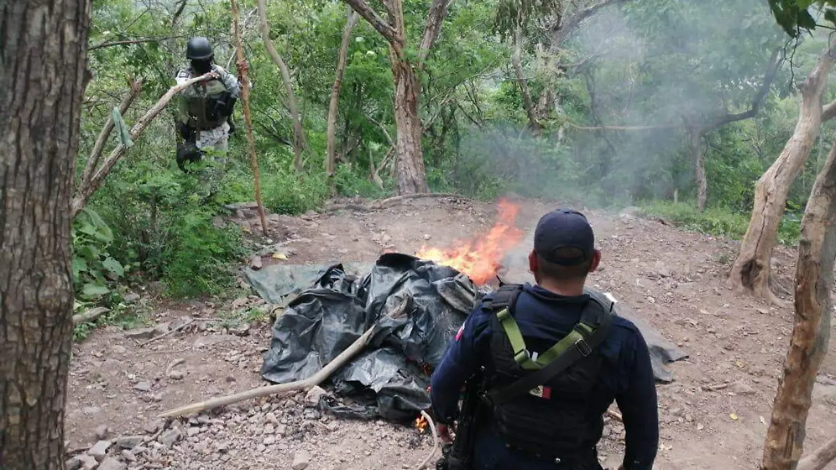 816c418f-2a41-43ca-9483-2ae9f556f676