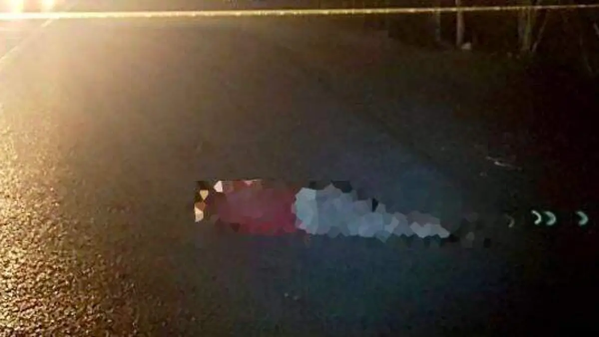 0506 Atropellado LCeditado