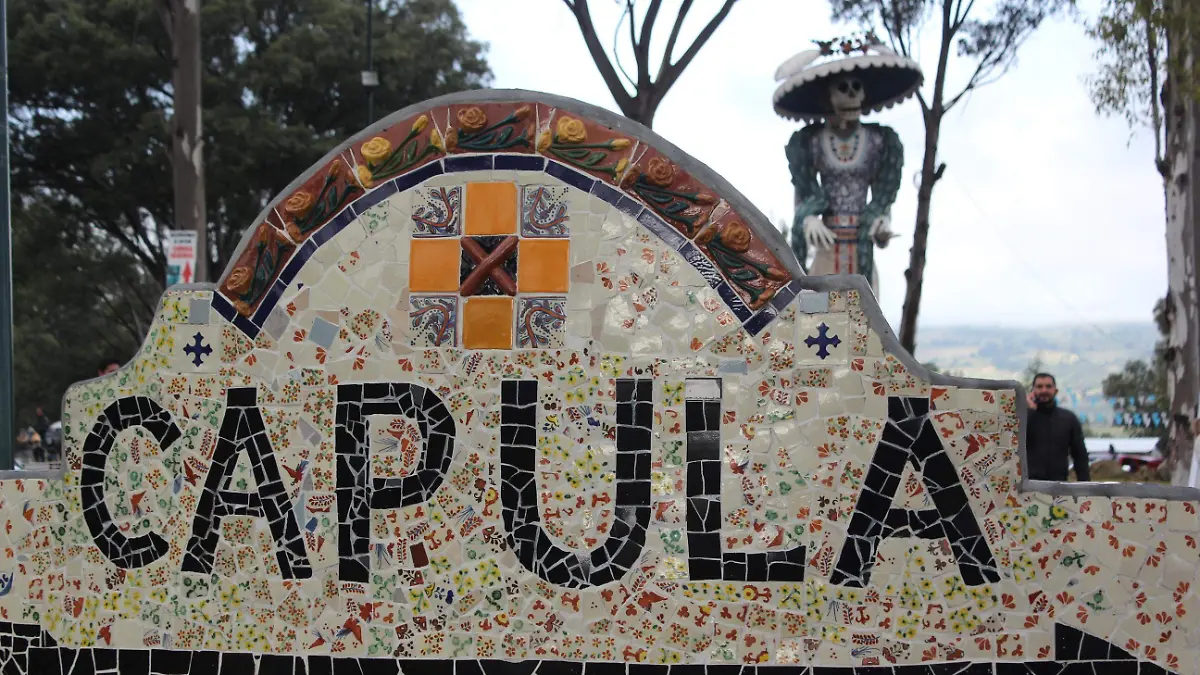 1401 CARDIELA CAPULA (MLM) (2)