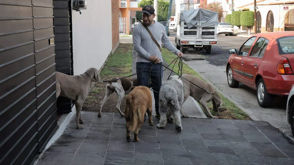 José, el encantador de perros