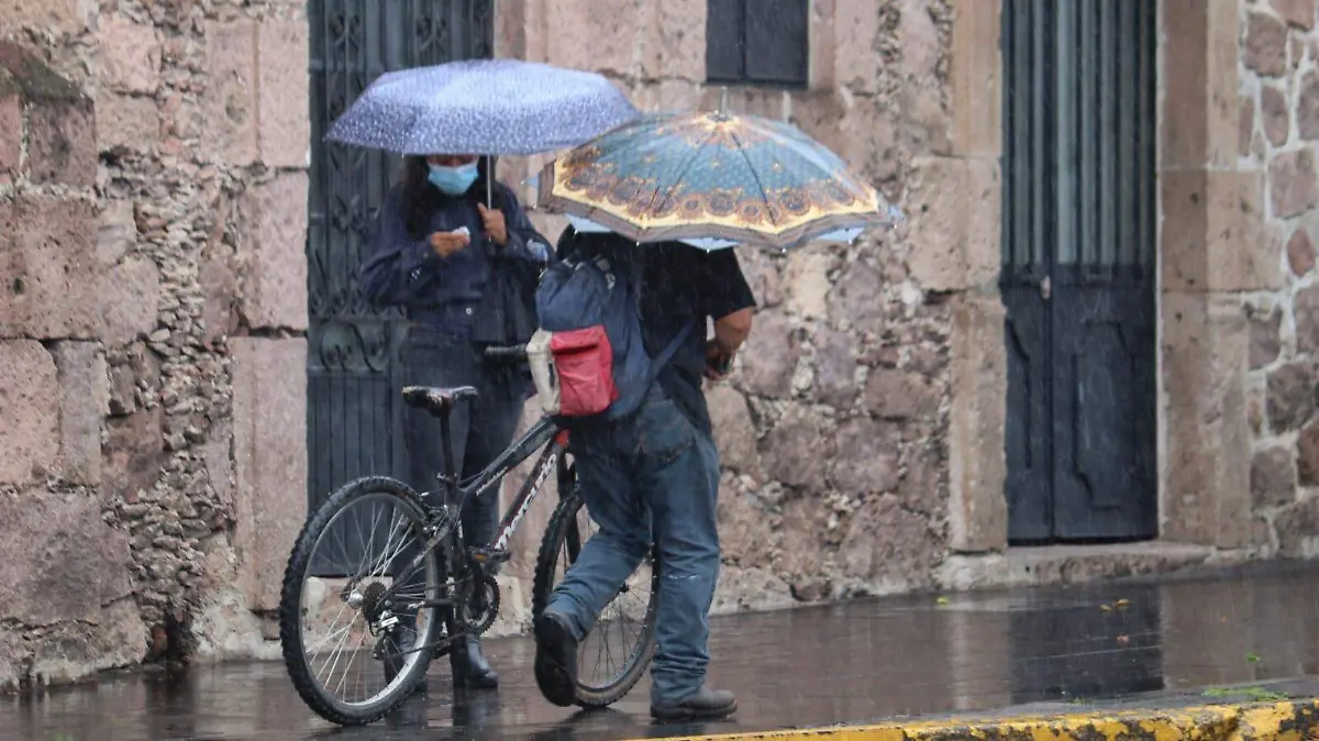 WhatsApp Image 2021-06-19 at 11.16.30