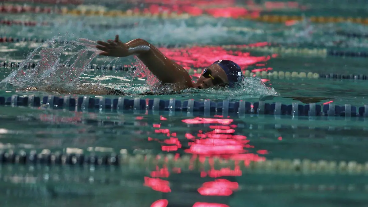 8f0ba0f8-66f7-4334-b71a-4581a8d20c26