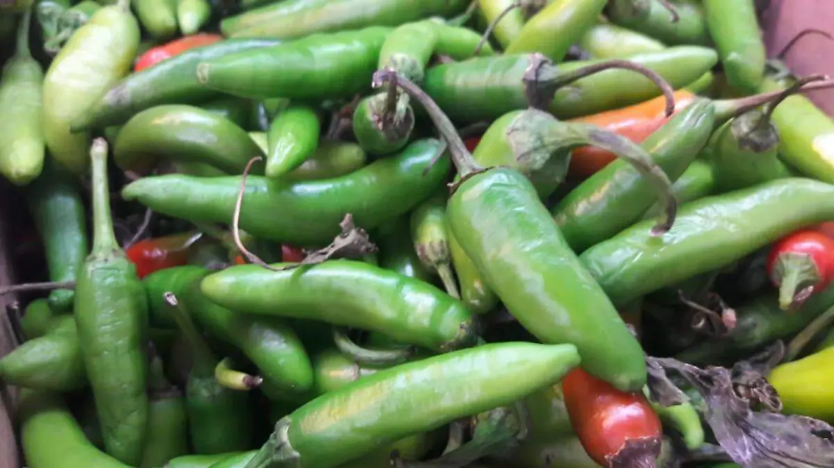 chile serrano