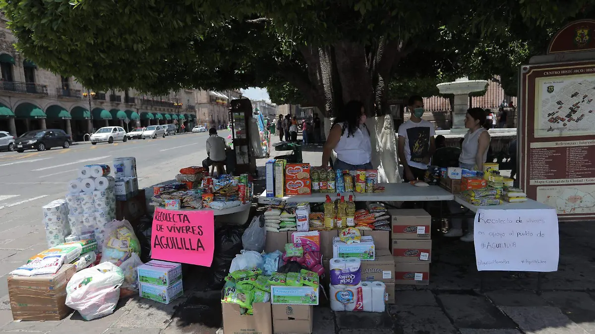 COLECTA AGUILILLA_IAV (2)