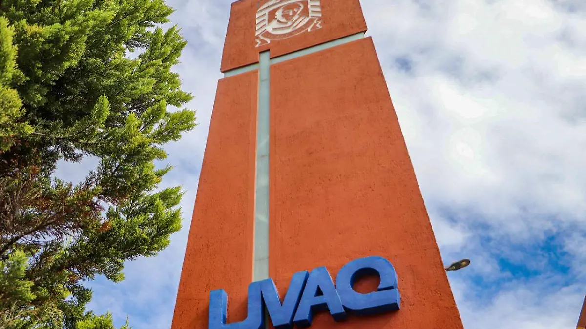 WhatsApp Image 2021-09-14 at 11.12.53