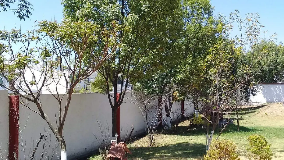 0204 DECRETO AMBIENTAL (LMO) 2