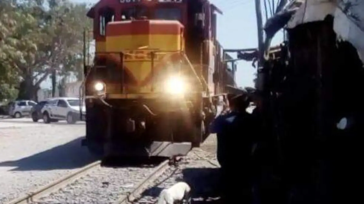 primer tren