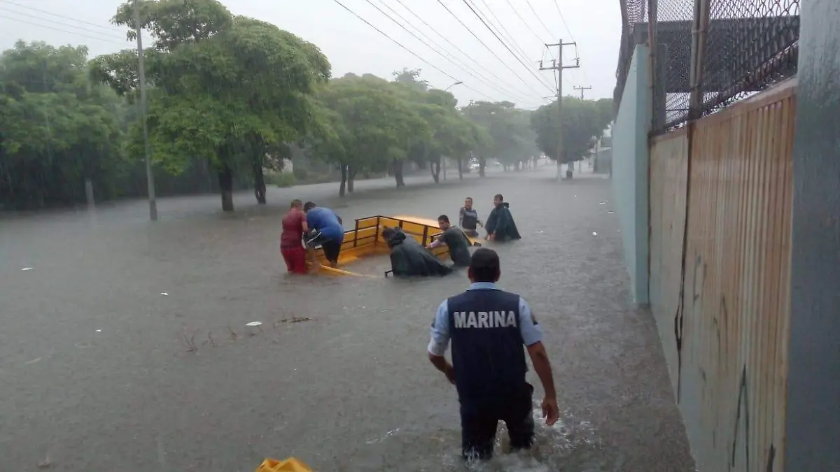 WhatsApp Image 2019-10-19 at 10.02.27 PM