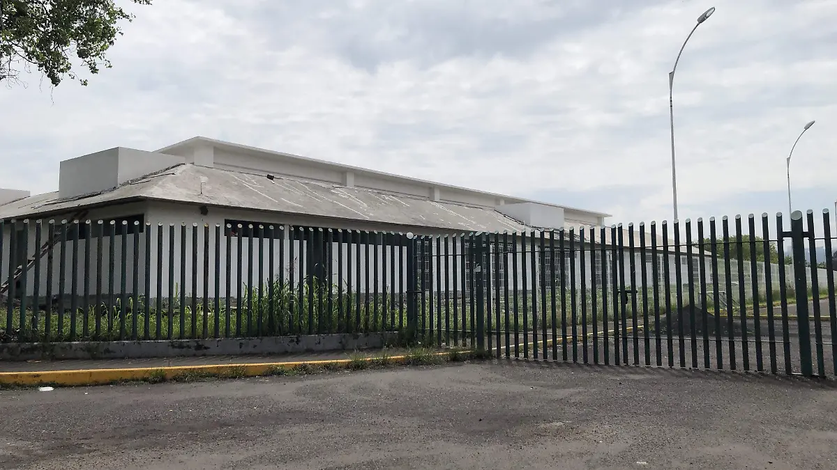 CLINICA UNIVERSITARIA