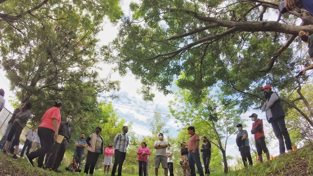 WhatsApp Image 2021-07-04 at 13.15.44