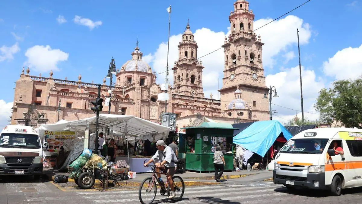 Plantón FNLS