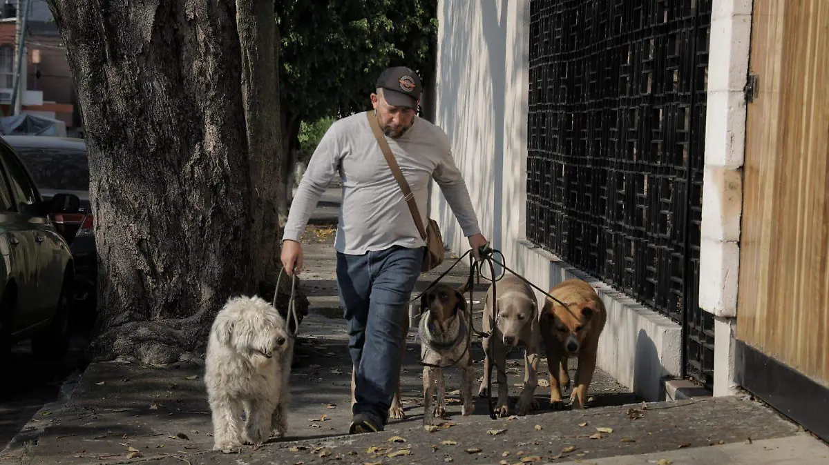 José, el encantador de perros