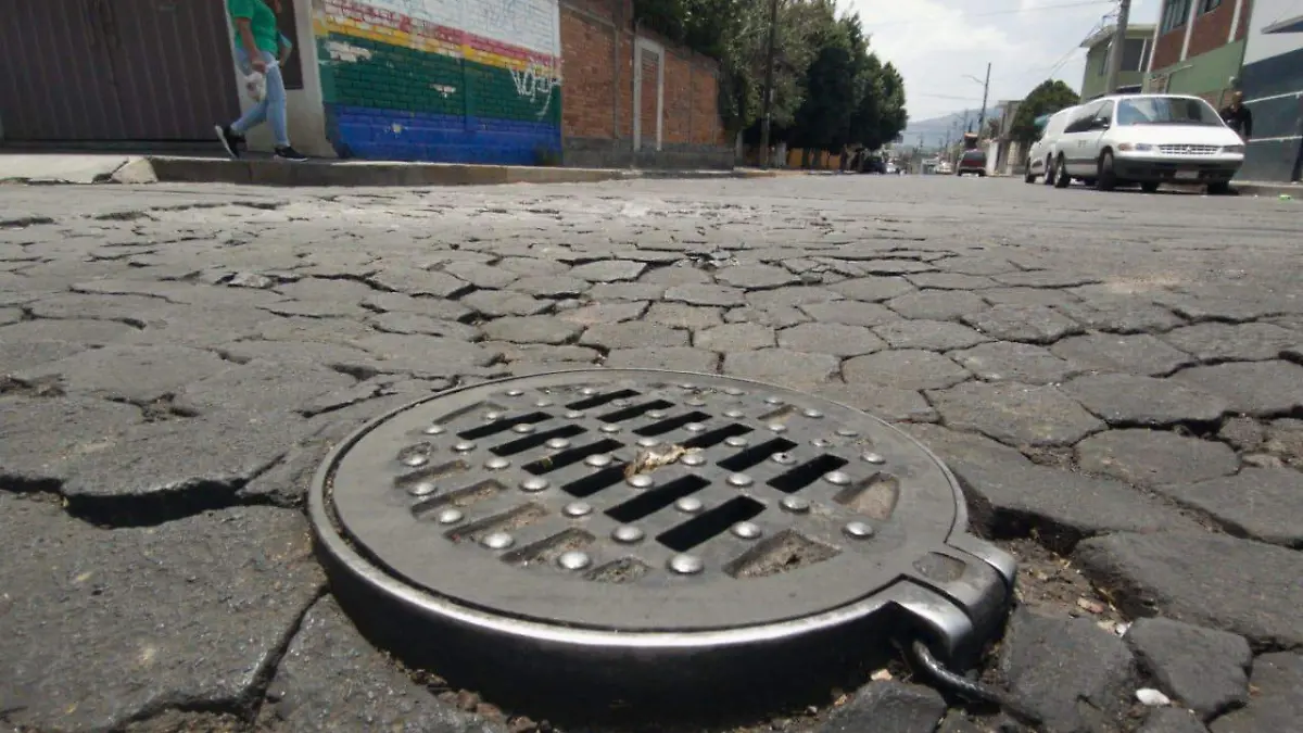 Baches