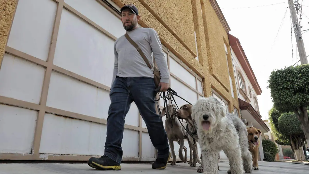 José, el encantador de perros