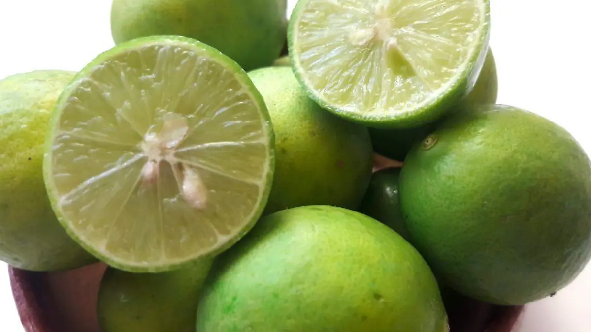 1606 LIMÓN