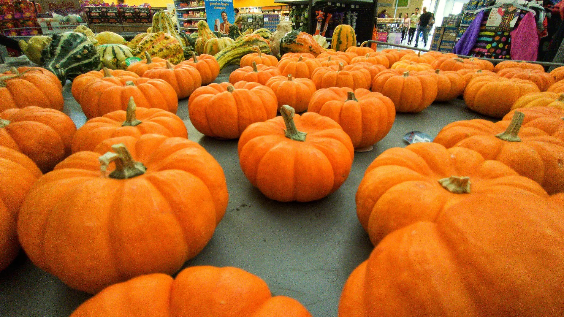 CALABAZA_AJO_03