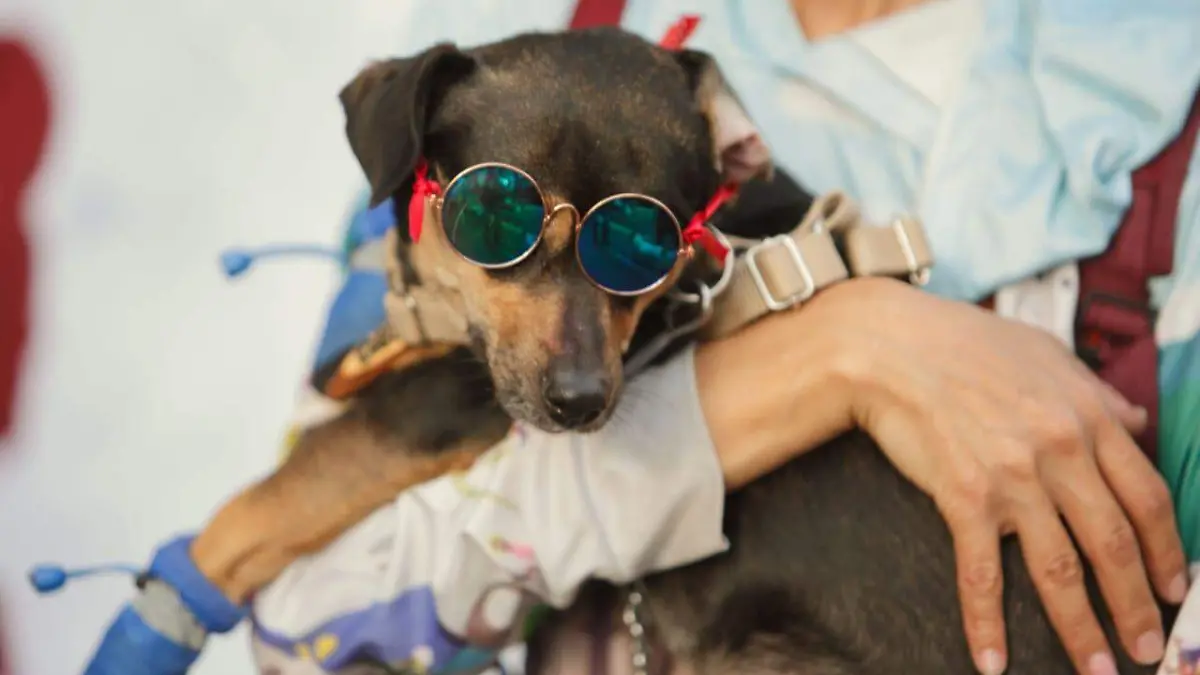 WhatsApp Image 2023-04-15 at 6.58.51 PM (2)