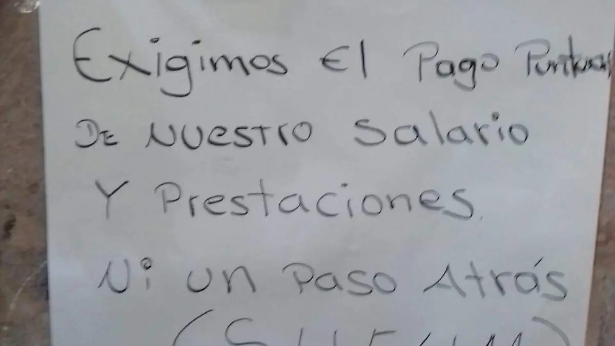 WhatsApp Image 2019-11-15 at 3.45.27 PM