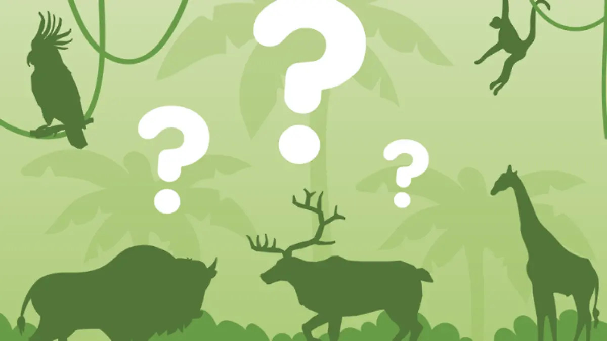 Captura de pantalla 2020-06-30 a la(s) 13.40.07